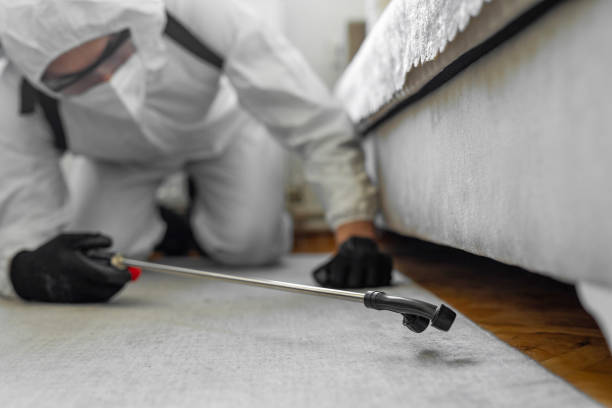 Professional Termite Control technician working in Shafter, CA
